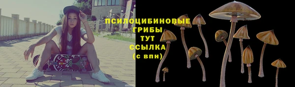 Альфа ПВП Покачи