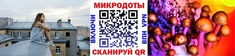 Псилоцибиновые грибы Magic Shrooms  Севастополь 