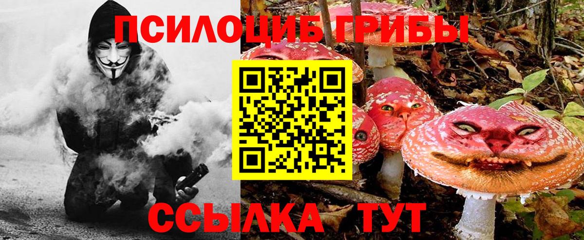 Галлюциногенные грибы MAGIC MUSHROOMS Севастополь